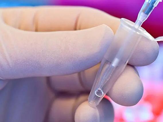 南京三代试管遗传病筛查结果怎么看?先盯这3个指标