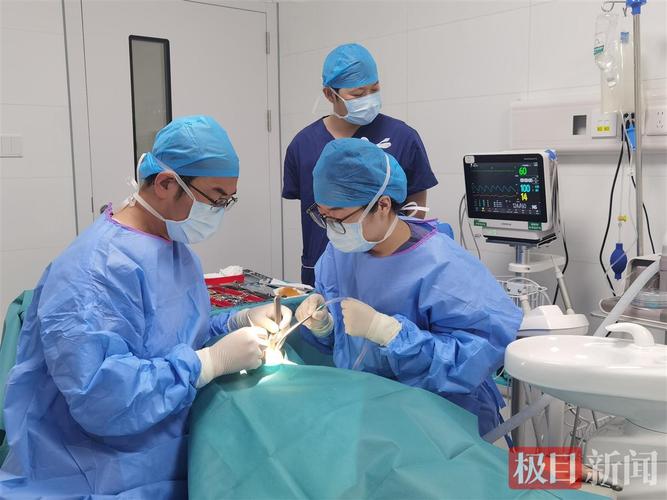 南京90岁老人种牙行不行 医生说了大实话