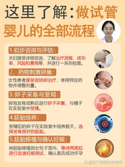 南京试管婴儿科普：流程、风险和成功率一次讲清