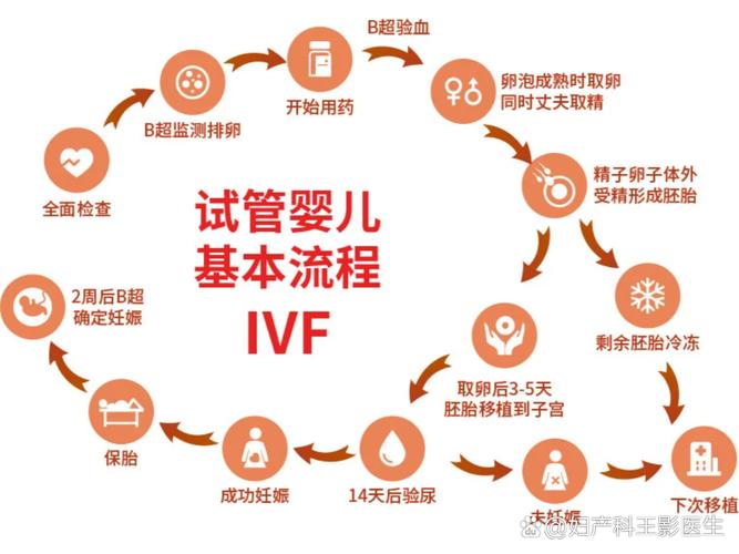 南京试管婴儿取卵流程详解 从术前到术后一文读懂