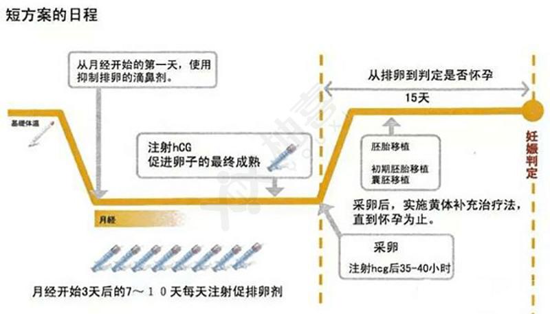 南京试管促排卵全流程 掌握这几点成功率更高