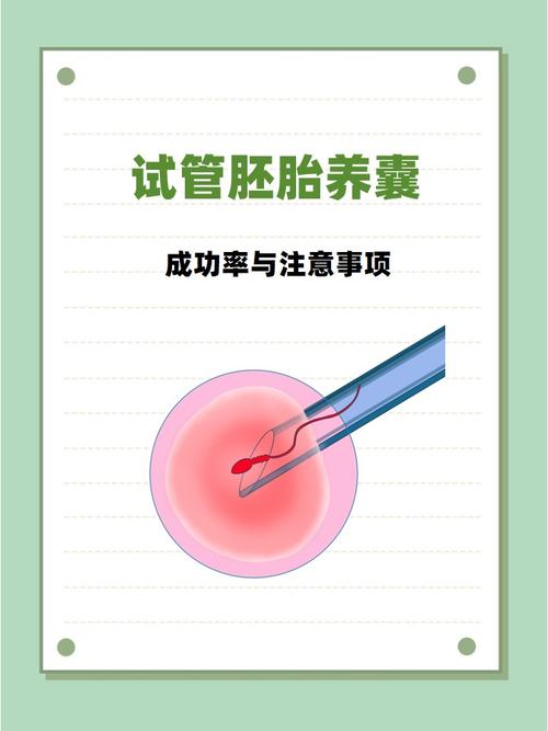 南京囊胚培养是什么?试管成功的关键一步