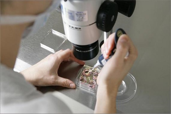 HIV阳性怀孕做试管流程_男性hiv阳性女方怀孕感染_HIV阳性检验流程