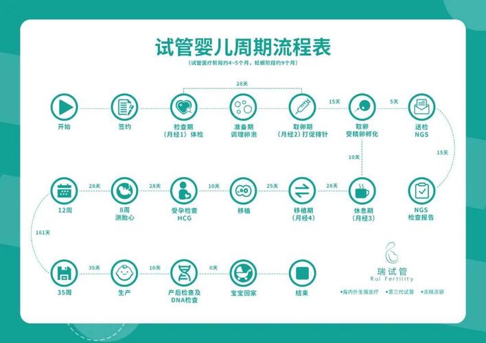 试管移植流程步骤_试管移植进周期流程_第三代试管从检查到移植流程